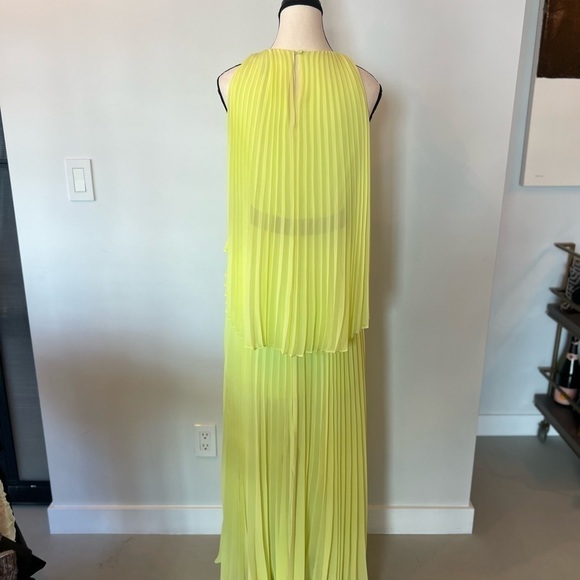 Bcbgmaxazria Shaina Sleeveless Pleated Gown - Picture 5 of 15